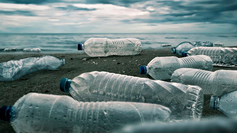 Logran que bacteria modificada descomponga el plástico en el mar