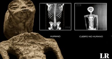 'Cadáveres extraterrestres' de Nazca: así es como un grupo de expertos trata de engañar al público