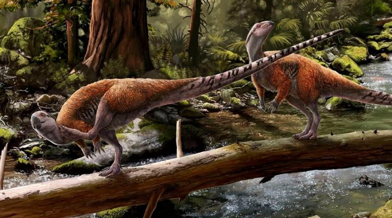 Descubren nueva especie de pequeño dinosaurio genuinamente europea