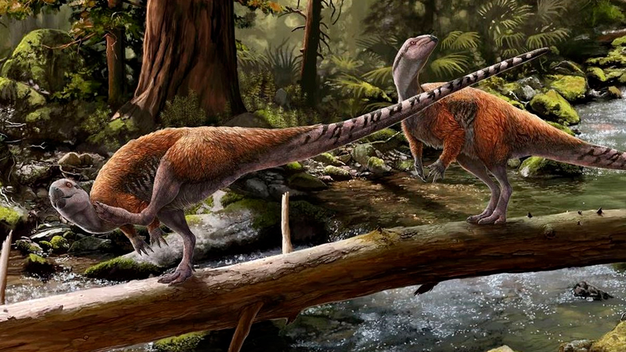 Descubren nueva especie de pequeño dinosaurio genuinamente europea