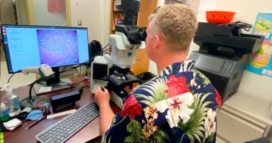 Google desarrolla con el Pentágono un microscopio con inteligencia artificial para ayudar a detectar el cáncer