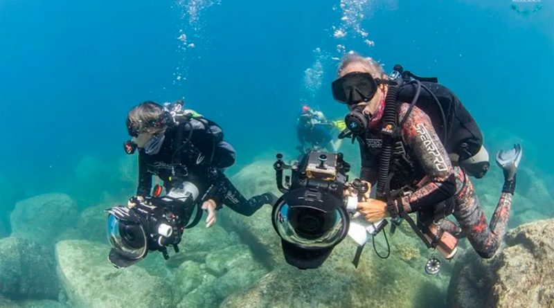 Científico mexicano inicia exploración submarina en Golfo de California