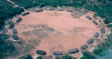 Antiguos amazónicos sabían cómo producir tierra fértil