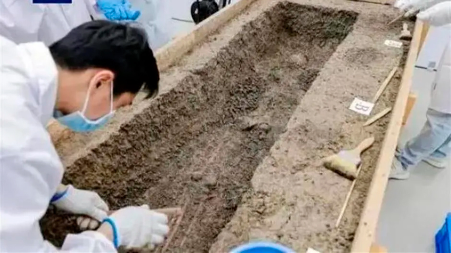 Arqueólogos chinos logran extraer ADN de un esqueleto humano de hace 6,000 años