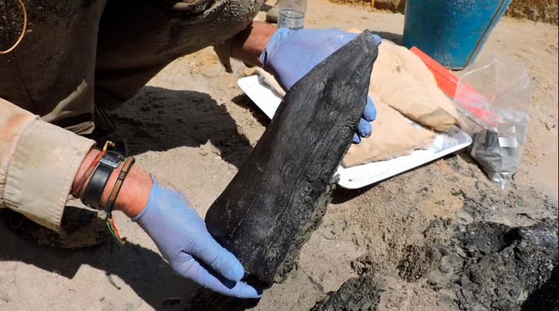 Arqueólogos descubren la estructura más antigua del mundo, construida por una especie extinta de humanos