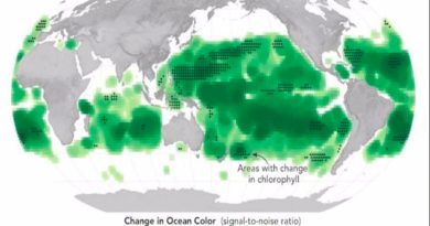 El océano ahora es más verde, ¡por el cambio climático!