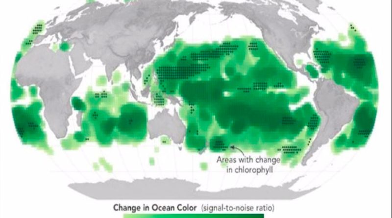 El océano ahora es más verde, ¡por el cambio climático!