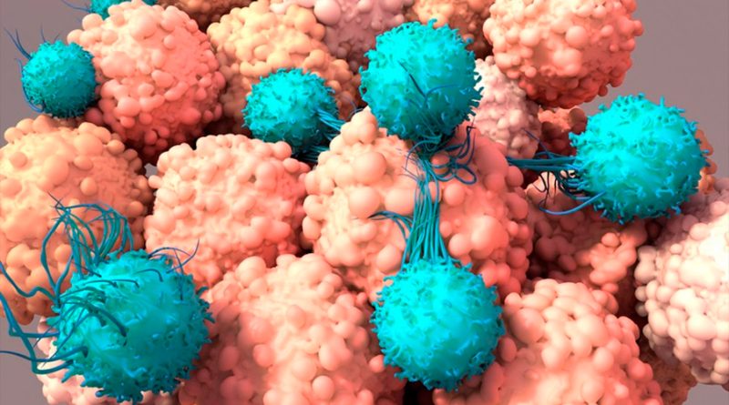 Reducir el estrés de las células T con betabloqueantes las hace mejores luchadoras contra el cáncer