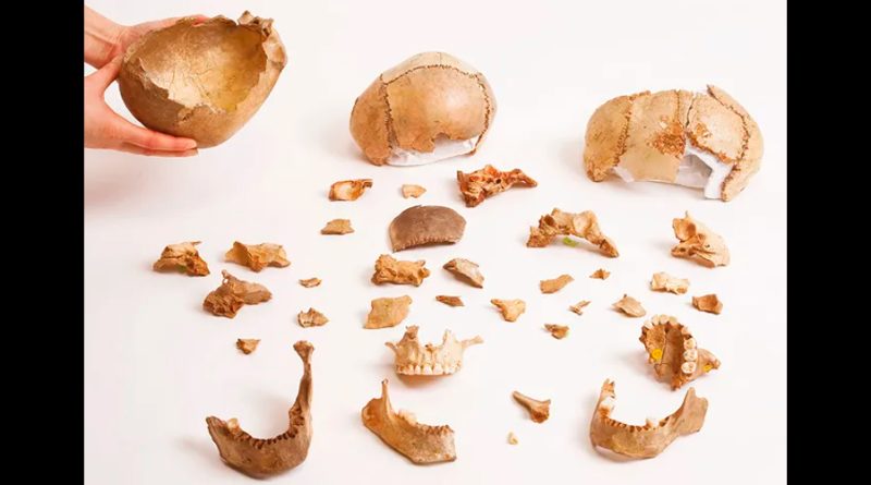 De 15 mil años atrás, la evidencia más antigua de canibalismo como ritual funerario