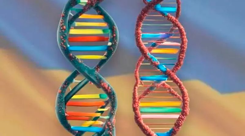 Utilizando el ADN como pegamento para crear super materiales