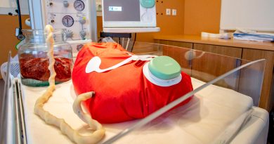 Úteros artificiales, la tecnología para salvar a bebés prematuros
