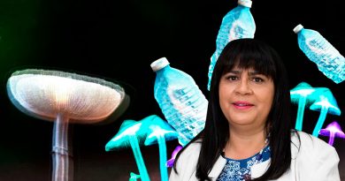 La investigadora mexicana que lucha con hongos y larvas contra el plástico
