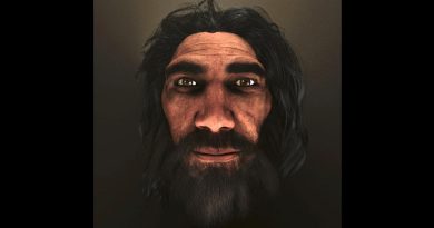 Los antropólogos reconstruyen el rostro del homo heidelbergensis