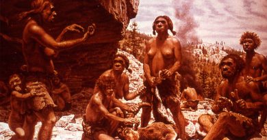 Nuestra especie ya se mezcló con los neandertales hace 250 mil años