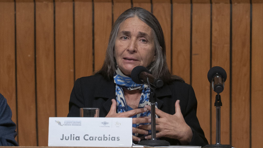 Las instituciones mexicanas fueron consecuencia del activismo y del trabajo científico: Julia Carabias
