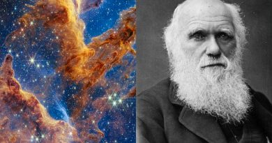 Científicos plantean nueva ley de la naturaleza que Charles Darwin pasó por alto