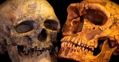 El encuentro entre Neandertales y Sapiens contado por sus genomas