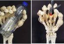 Imprimen mano robótica con huesos y tendones de una sola pieza
