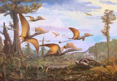 Estudio revela que aves modernas evolucionaron mucho antes del fin de los dinosaurios