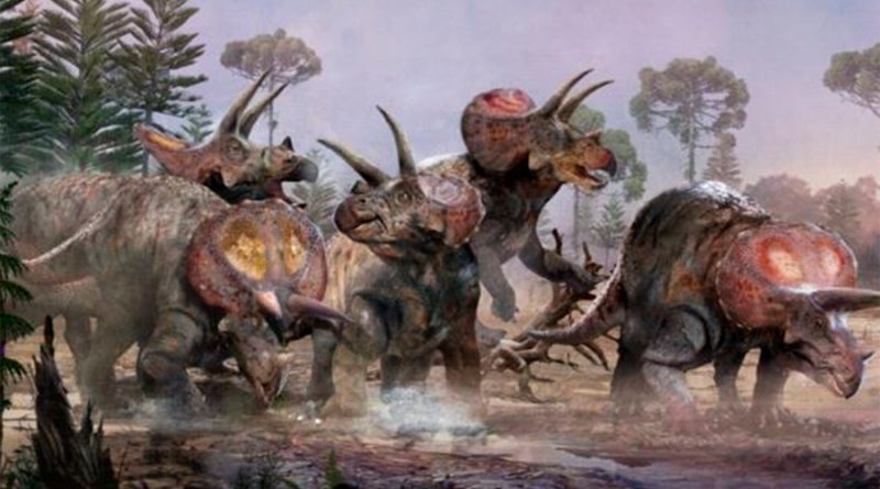 ¡Steven Spielberg tenía razón! Ciencia confirma que triceratops vivían en manadas