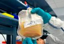 Nueva tecnología permitiría cultivar hígados humanos en el interior de las personas