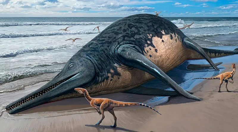 Una niña de 11 años encuentra el fósil de un inmenso réptil oceánico