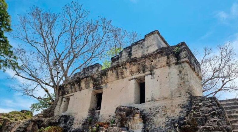 Los mayas quemaron tumbas y restos humanos para borrar la memoria de una dinastía gobernante
