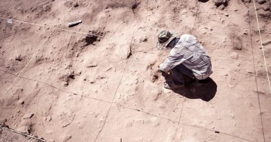 Investigadores descubren canales y un embarcadero prehispánico debajo de Ciudad de México