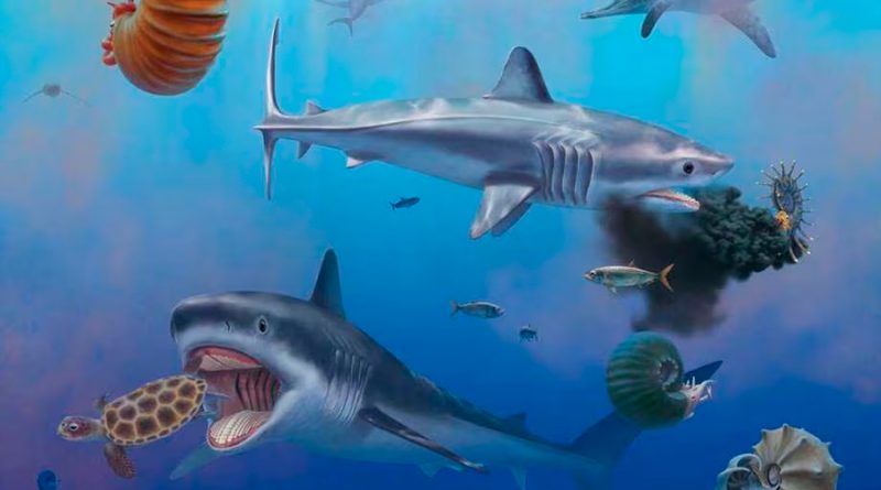 Los científicos conocen, por fin, cómo era el tiburón prehistórico gigante