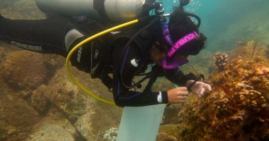 México: científicos intentan salvar los corales de las islas Marietas afectados por calentamiento oceánico