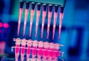 EU detecta casos de infecciones vinculadas a tratamientos con células madre en México