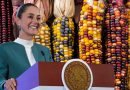 México rescata su tesoro: Maíz criollo en la nueva estrategia alimentaria