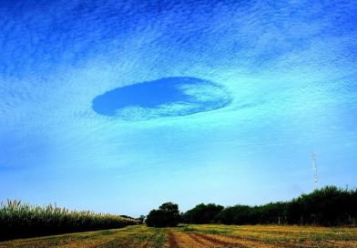 Los microbios, verdaderos causantes del aumento de emisiones de metano