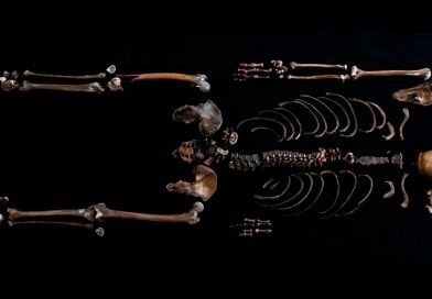 Una saga noruega cuenta que arrojaron un vikingo a un pozo en 1197: La ciencia lo confirma 800 años después