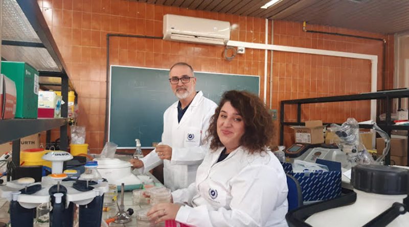 Investigadores andaluces demuestran los beneficios de las bacterias contra el cambio climático en el tomate