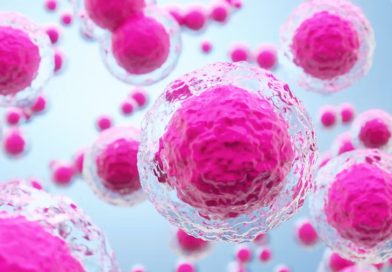 Científicos logran avances en lesiones medulares con células madre