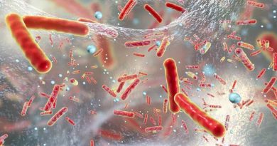 Escudo intestinal: estudio revela bacteria que puede proteger a tu cuerpo de salmonella