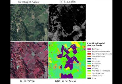 INTERSEN, monitorizar la vegetación desde el espacio