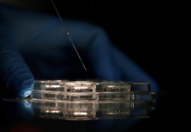 Una terapia génica logra prolongar la vida de niños con trastorno genético