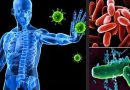 Dos bacterias pueden suprimir la respuesta inmune en las enfermedades respiratorias