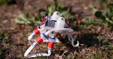 Científicos crean un robot blando que no necesita de gran tecnología, solo de la física