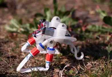 Científicos crean un robot blando que no necesita de gran tecnología, solo de la física