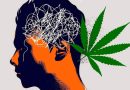 La dopamina explicaría la conexión entre consumo de cannabis y psicosis