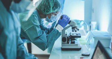 Crean renacuajos cíborg, con implantes neuronales que permitirían tratar enfermedades durante el desarrollo