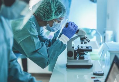 Crean renacuajos cíborg, con implantes neuronales que permitirían tratar enfermedades durante el desarrollo