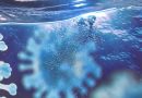 Aguas negras: un ecosistema complejo que nos ayuda a anticipar epidemias