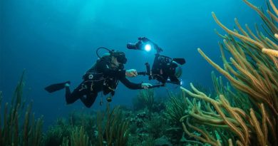 Arrecifes artificiales de cemento: ¿cómo ayudan a conservar los ecosistemas marinos?