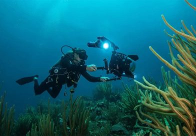 Arrecifes artificiales de cemento: ¿cómo ayudan a conservar los ecosistemas marinos?