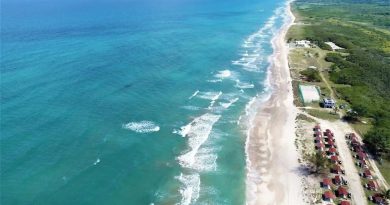 Golfo de México: más de 15 mil especies en riesgo por extracción petrolera