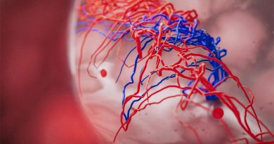 Los organoides humanos creados en laboratorios ahora pueden generar sus propios vasos sanguíneos